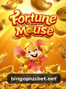 bingoplus destaque